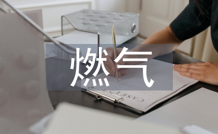 燃氣經營企業投資風險與應對策略
