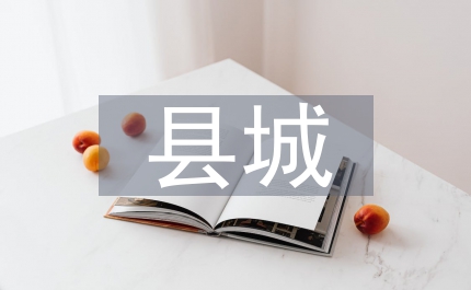 地區縣城招商引資若干措施
