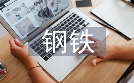 鋼鐵產業發展路徑研究
