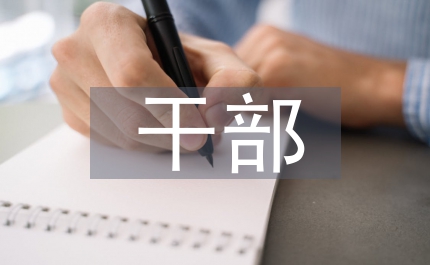 地稅中級干部競聘演講