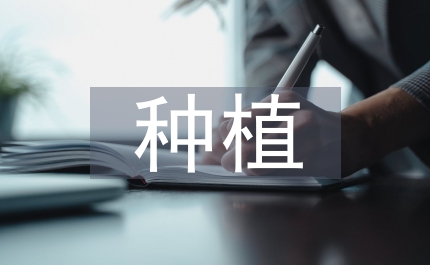 藍梅種植