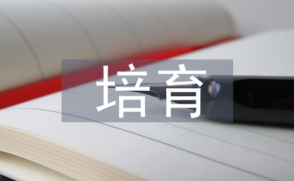 計算機實踐能力培育途徑探討