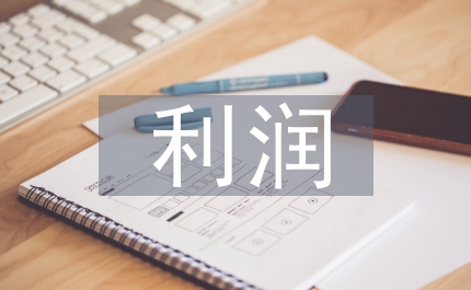 國有企業(yè)利潤去向