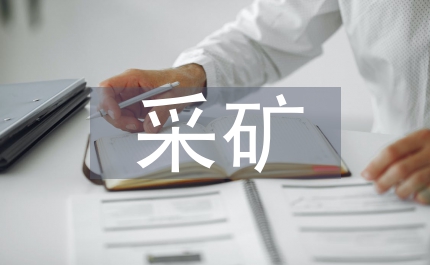 打擊違法采礦方案