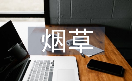 煙草公司多元化經營總結