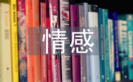 小學數學情感教育探析