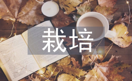 在平凡中栽培自己