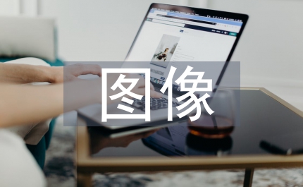 公共安全圖像信息管理細則