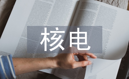 核電DCS改造風險評估與控制方法