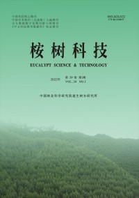 桉樹(shù)科技